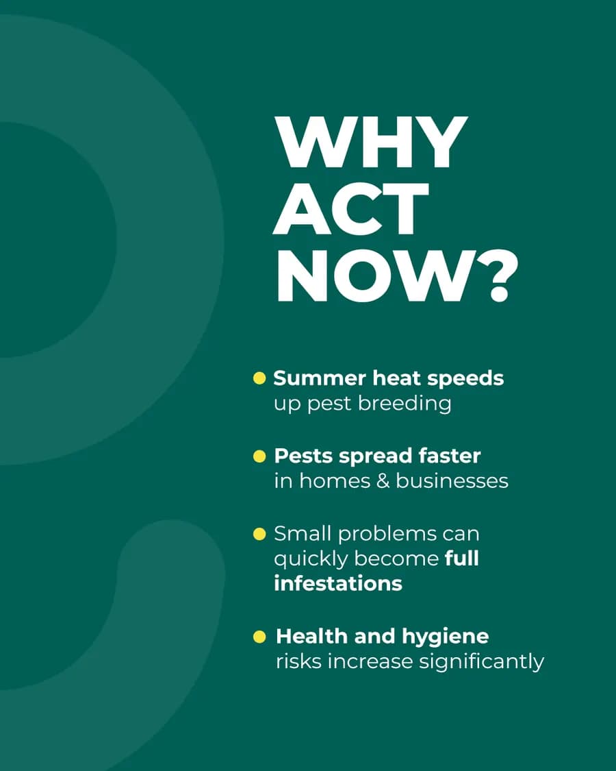GreenLab designed post explaining why summer pest issues need early action.