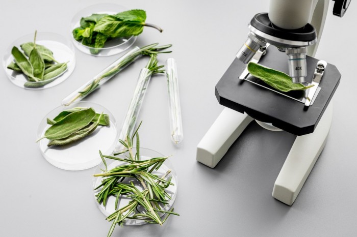 Microscope and herbs